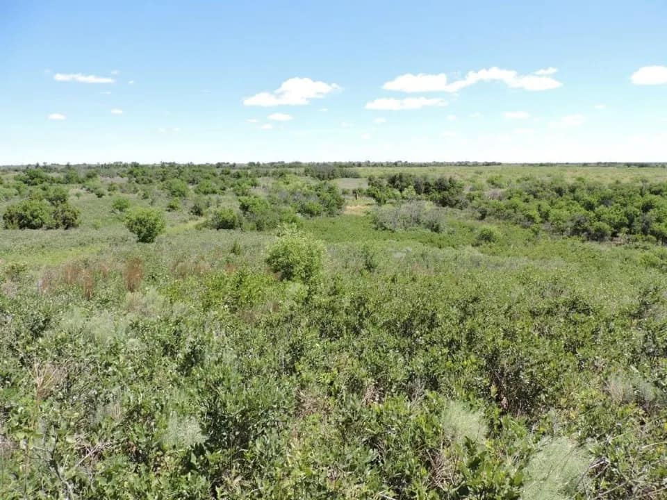 260 acre hunting land in King County, Texas