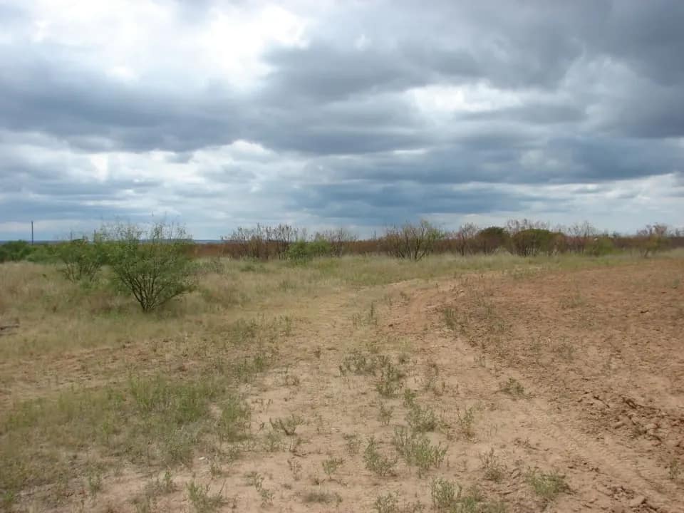 27.32 acre ranch in Taylor County, Texas