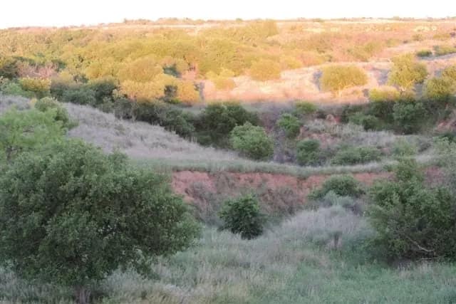 270 acre hunting land in Wilbarger County, Texas