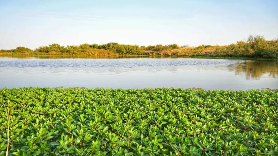 106 acre ranch in Wichita County, Texas