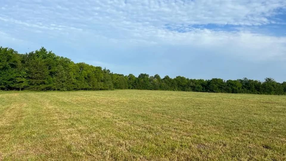 28 acre undeveloped land in Red River County, Texas