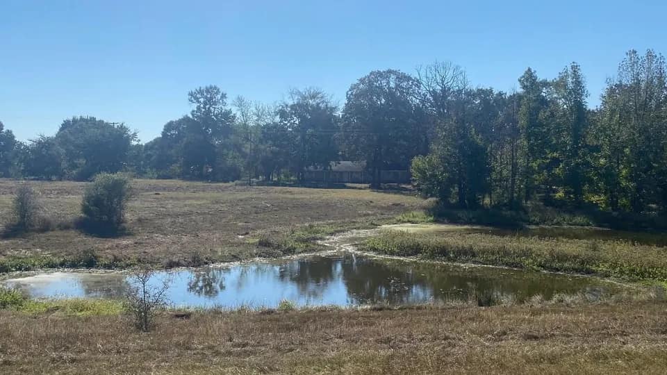 28.27 acre ranch in Titus County, Texas