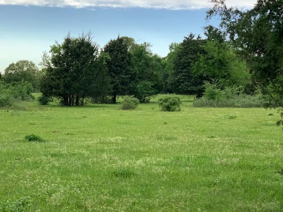 4 acre ranch in Franklin County, Texas
