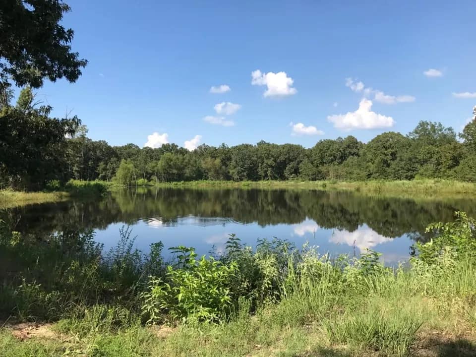 300 acre hunting land in Franklin County, Texas