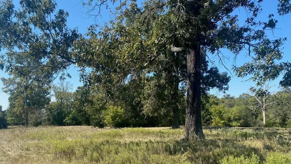 31.01 acre ranch in Titus County, Texas