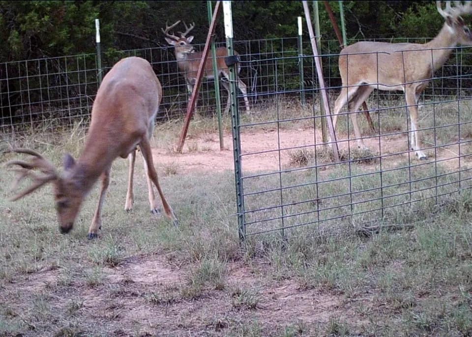32 acre ranch in Young County, Texas