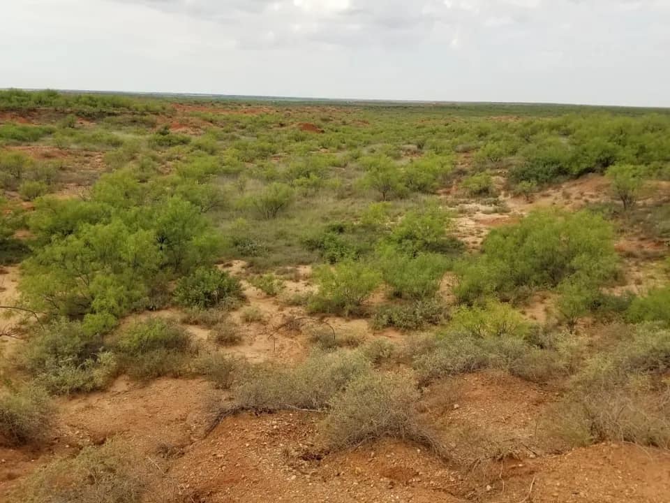 320 acre farm in Hardeman County, Texas