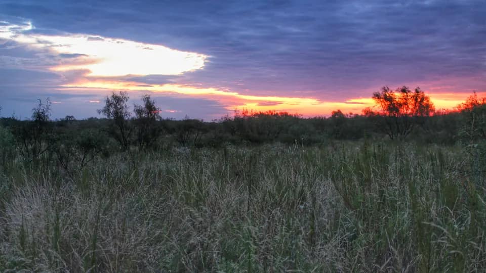 326 acre hunting land in King County, Texas