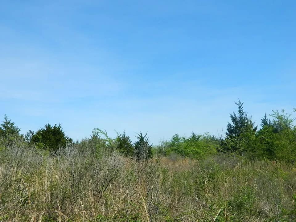 33 acre timberland in Red River County, Texas