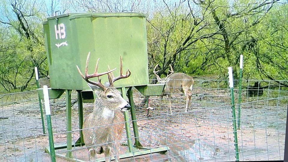 335 acre ranch in Hardeman County, Texas
