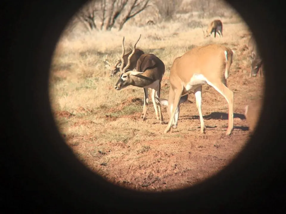 346 acre hunting land in Foard County, Texas