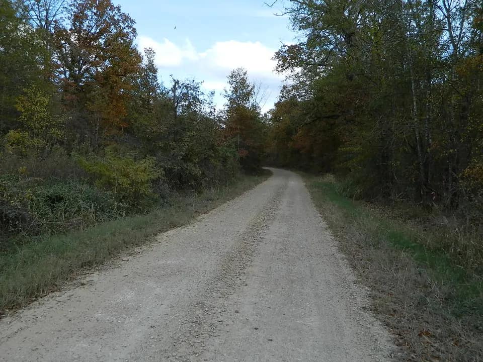 36.5 acre hunting land in Red River County, Texas