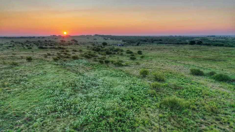367 acre farm in Clay County, Texas