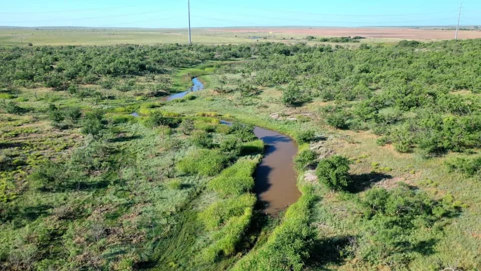390 acre timberland in King County, Texas