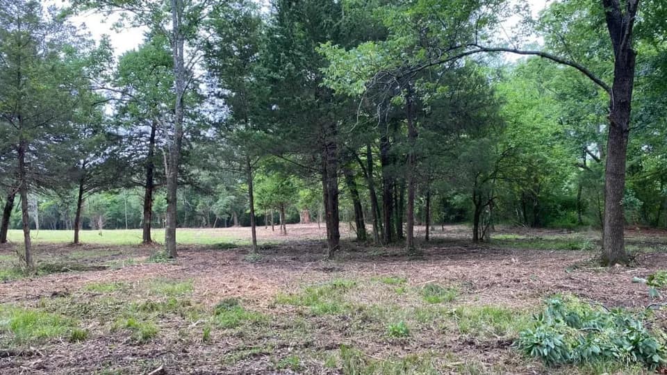 11 acre ranch in Franklin County, Texas
