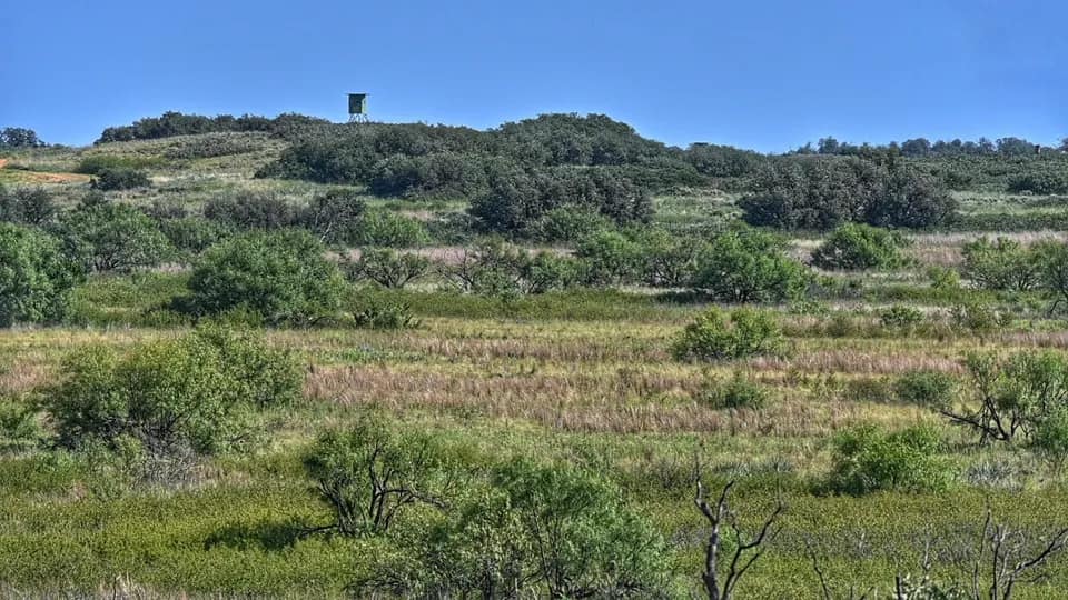 480 acre timberland in Cottle County, Texas