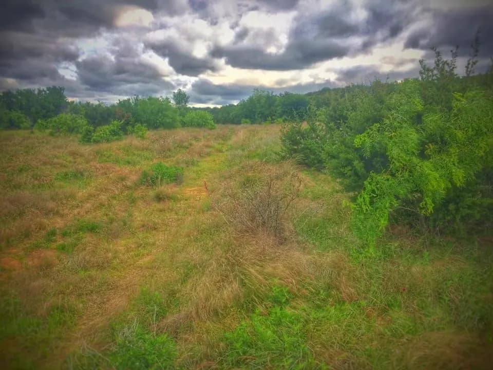 419 acre hunting land in Palo Pinto County, Texas