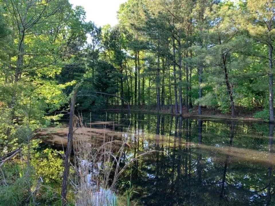 42.33 acre ranch in Red River County, Texas