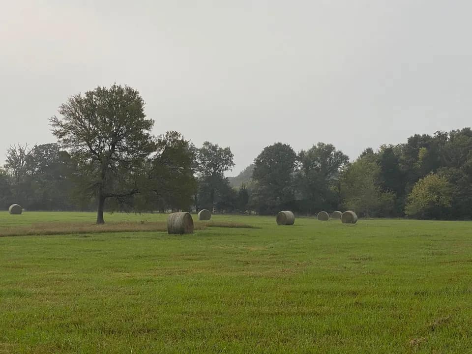 42 acre ranch in Red River County, Texas