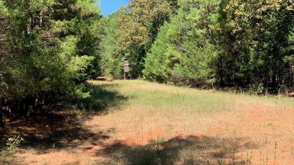 42.45 acre ranch in Red River County, Texas