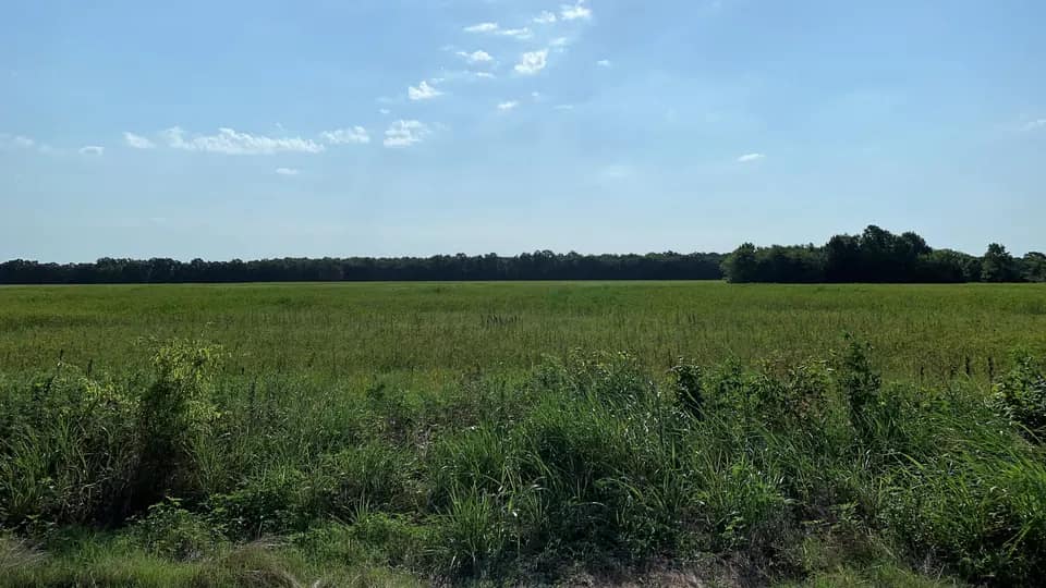 45.72 acre ranch in Lamar County, Texas