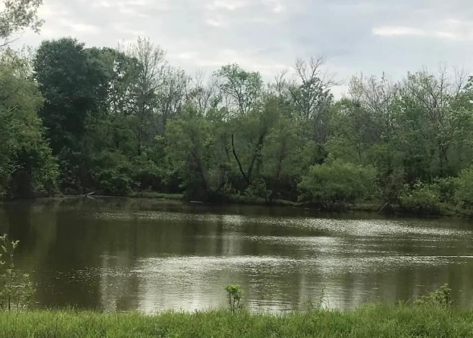 451.98 acre timberland in Bowie County, Texas