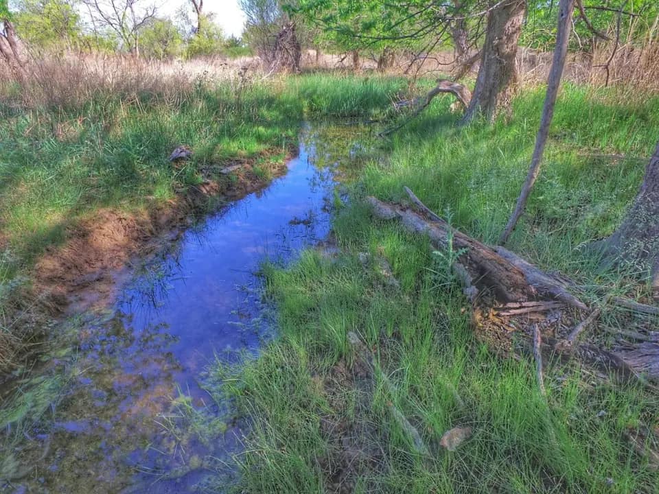 460 acre timberland in Wilbarger County, Texas