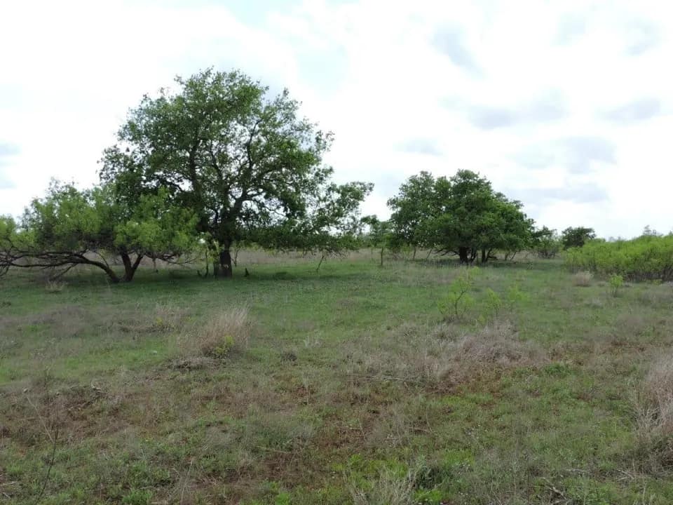 480 acre hunting land in Hardeman County, Texas