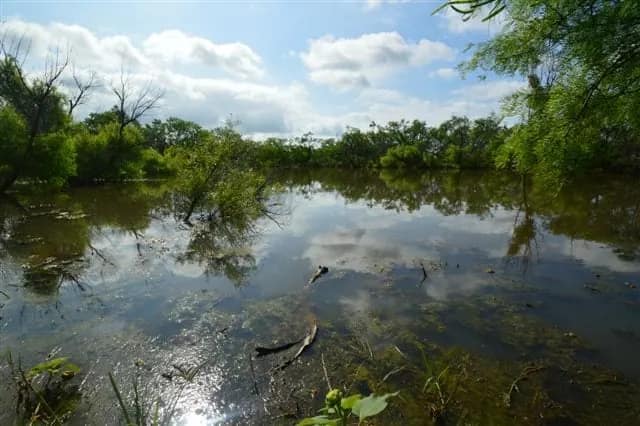 481 acre hunting land in Throckmorton County, Texas