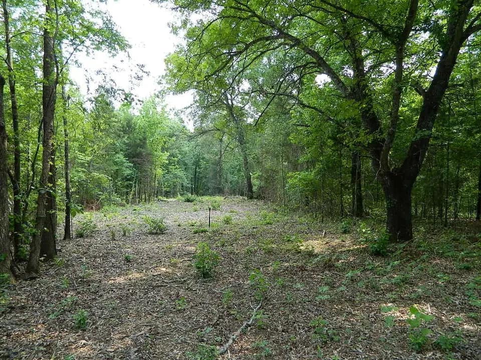 49 acre ranch in Titus County, Texas