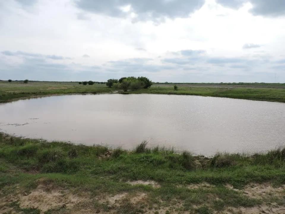 50 acre ranch in Clay County, Texas