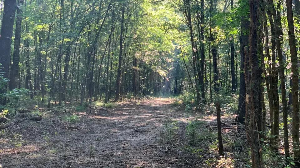 50 acre recreational land in Red River County, Texas