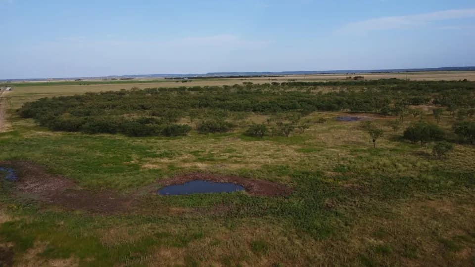 39 acre hunting land in Taylor County, Texas