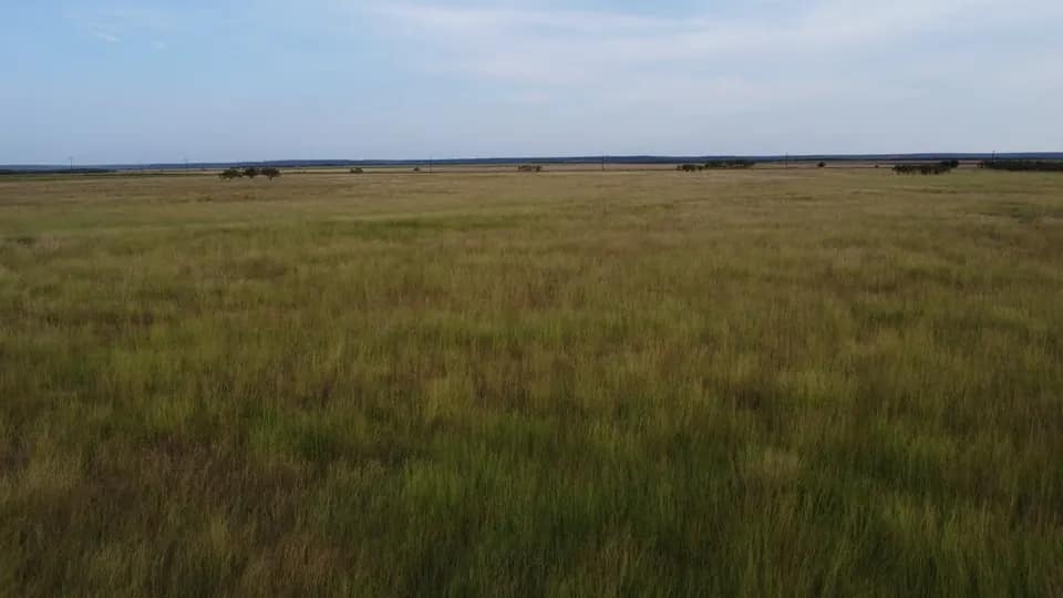 50 acre ranch in Taylor County, Texas