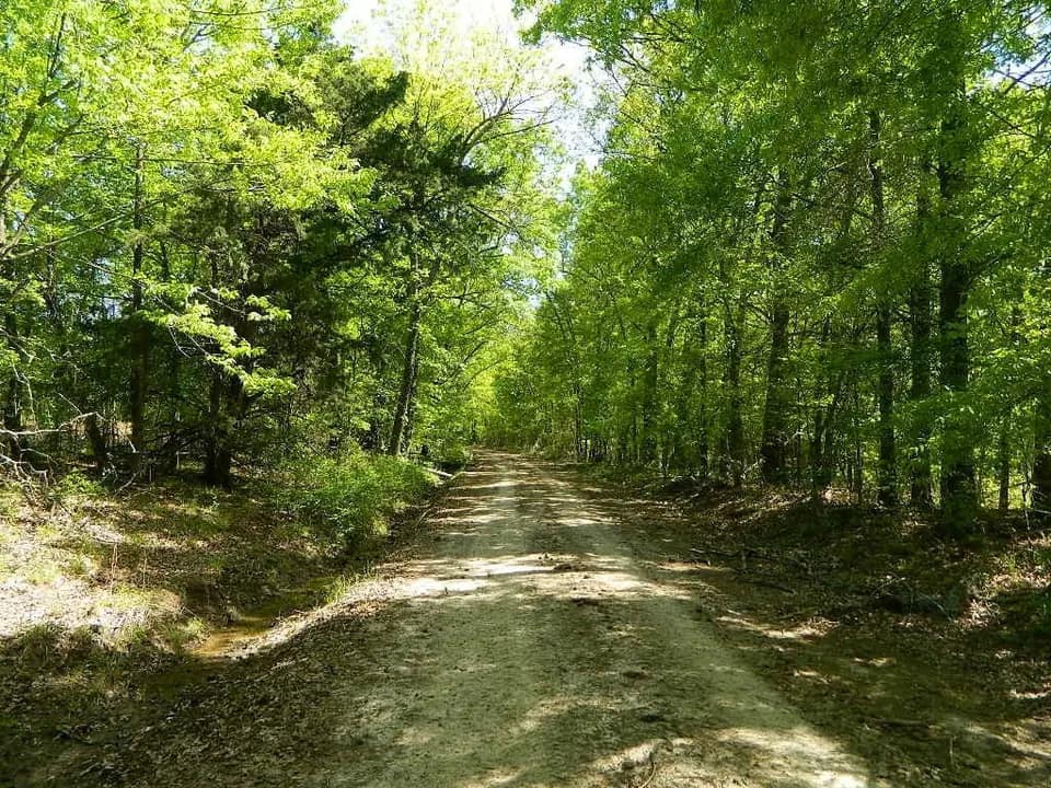 51.86 acre timberland in Red River County, Texas