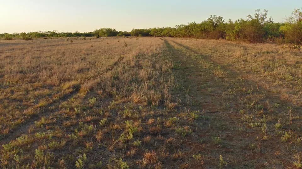 11 acre hunting land in Taylor County, Texas