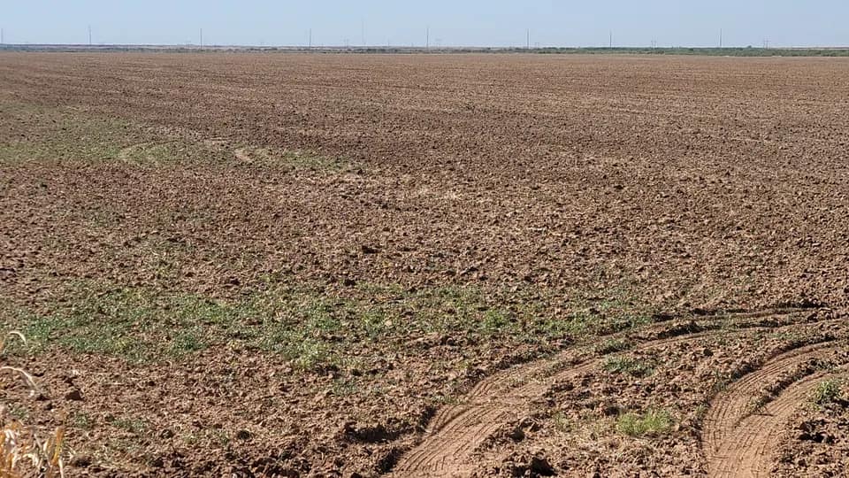 530 acre farm in Wilbarger County, Texas