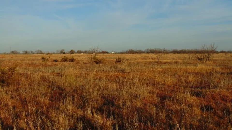 11 acre hunting land in Taylor County, Texas