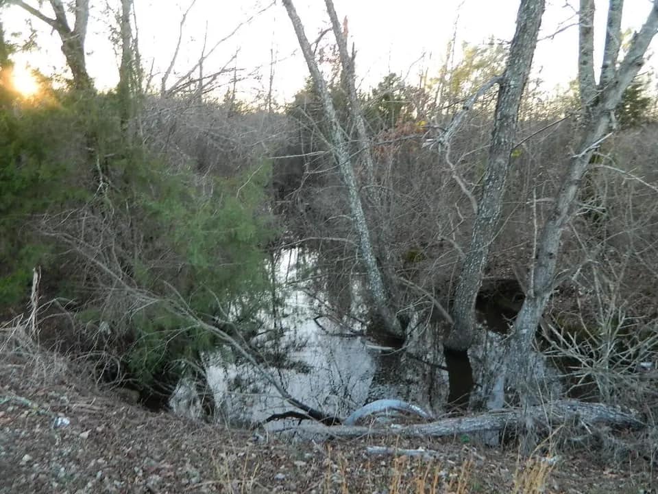 54.88 acre hunting land in Red River County, Texas