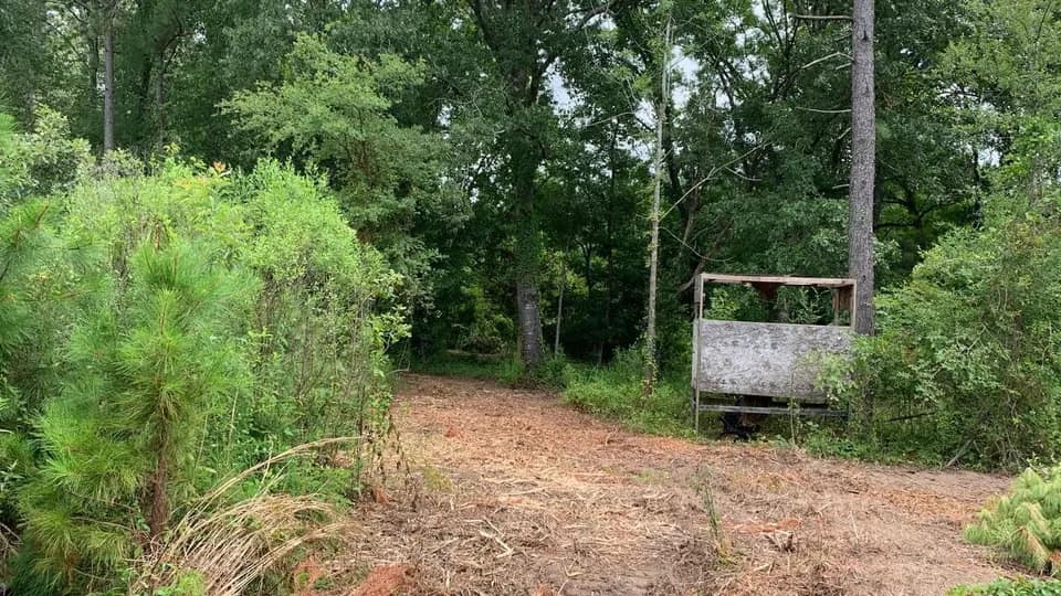 58.24 acre timberland in Bowie County, Texas