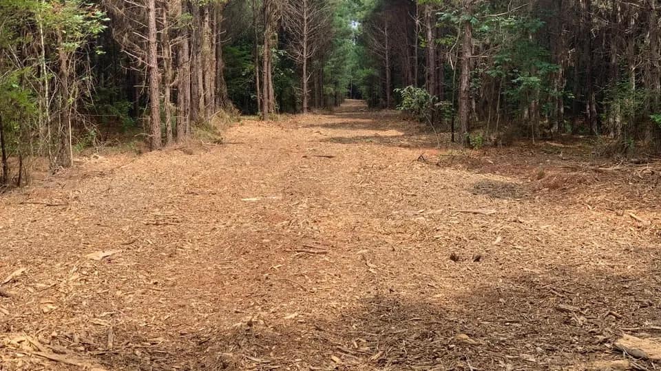 58.24 acre hunting land in Bowie County, Texas