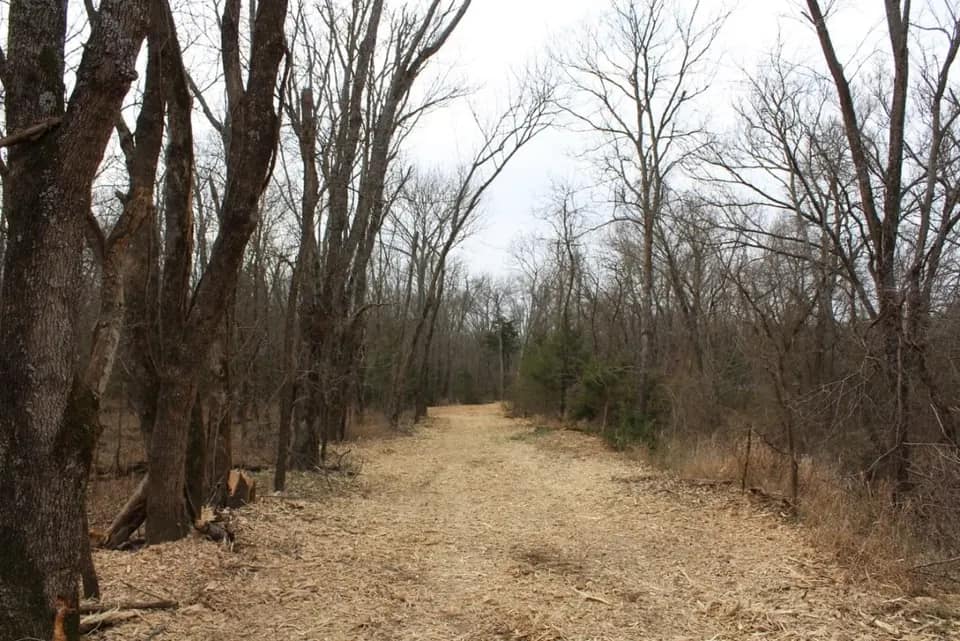 27.26 acre timberland in Lamar County, Texas