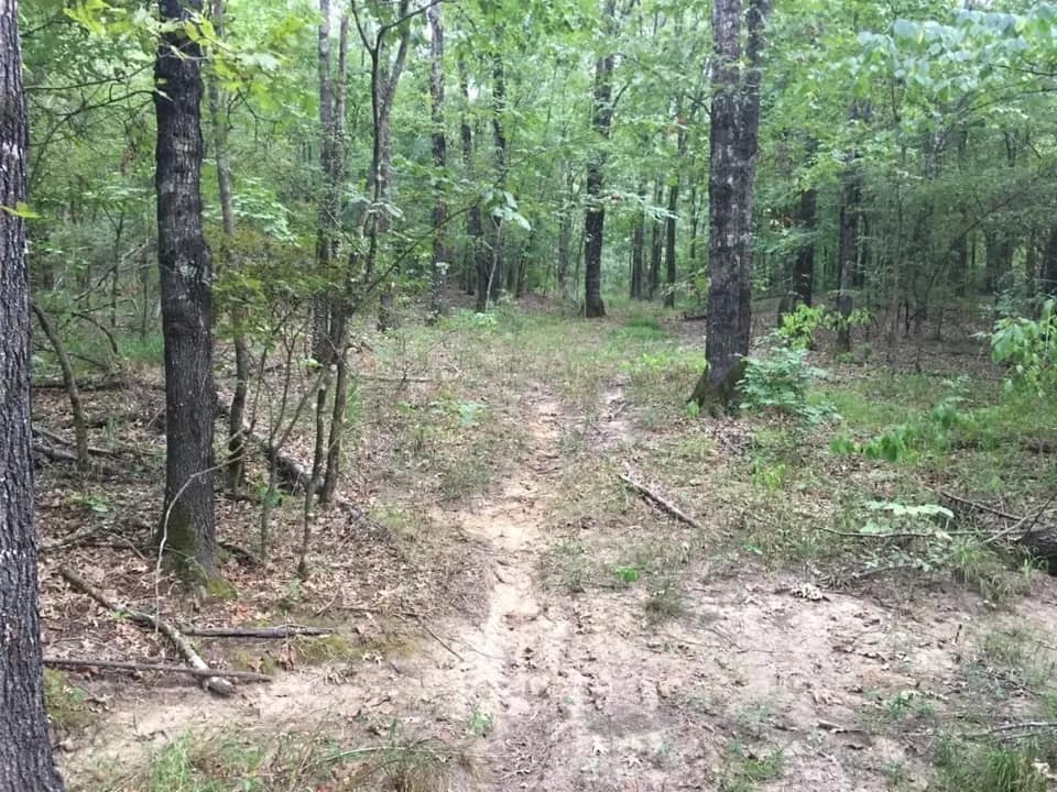 59.83 acre ranch in Red River County, Texas