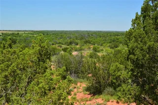 598 acre hunting land in Baylor County, Texas