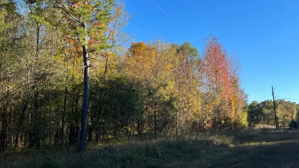 6.37 acre hunting land in Red River County, Texas