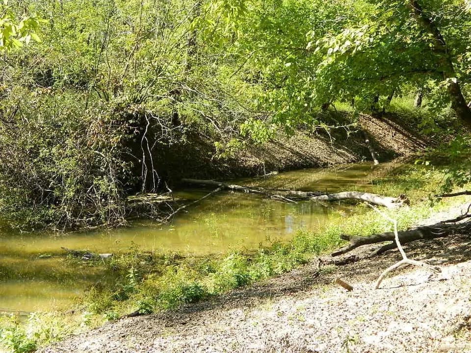 60 acre hunting land in Red River County, Texas
