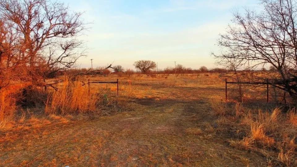 11 acre hunting land in Taylor County, Texas