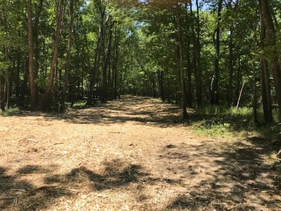 62.5 acre hunting land in Red River County, Texas