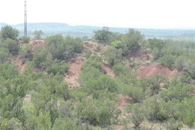 640 acre hunting land in Baylor County, Texas