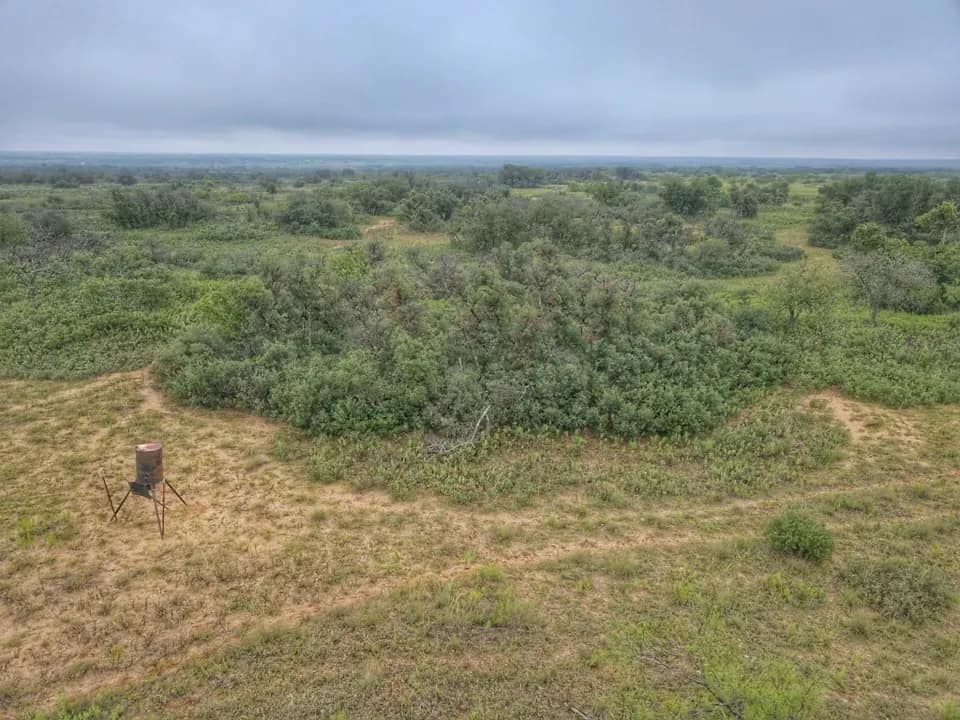 640 acre timberland in King County, Texas